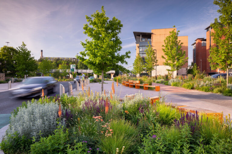 How Green Spaces Continue to Influence Homebuyers in Sheffield