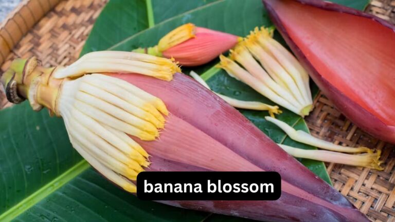 Banana Blossom
