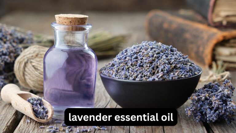 Lavender Essential Oil: Benefits, Uses and Safety Lavender Essential Oil
