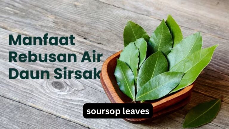 soursop leaves